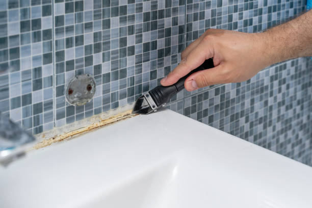 Best Mold Cleaning Services  in Avon, IN